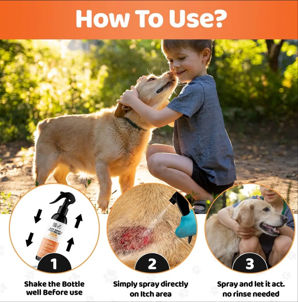 Spray Anti-démangeaisons pour chiens