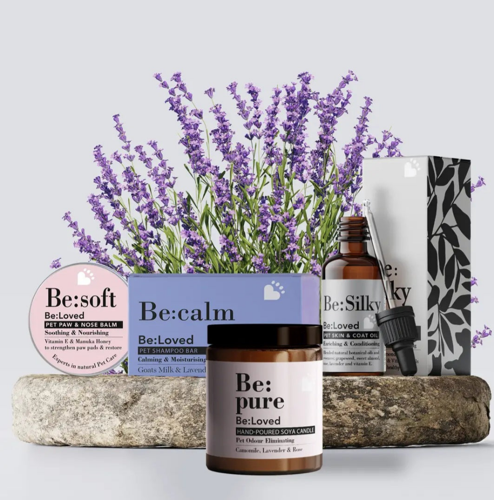 Starter kit pour chiens