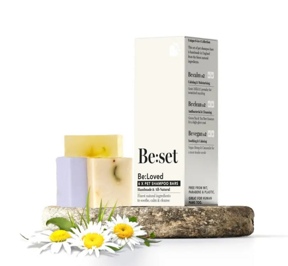 Stack 3 barres de shampooing naturelles pour chiens