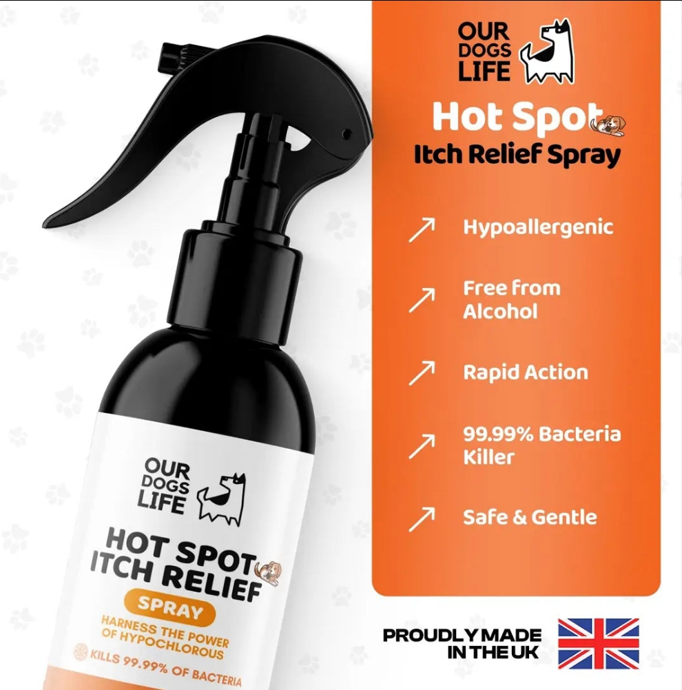 Spray Anti-démangeaisons pour chiens
