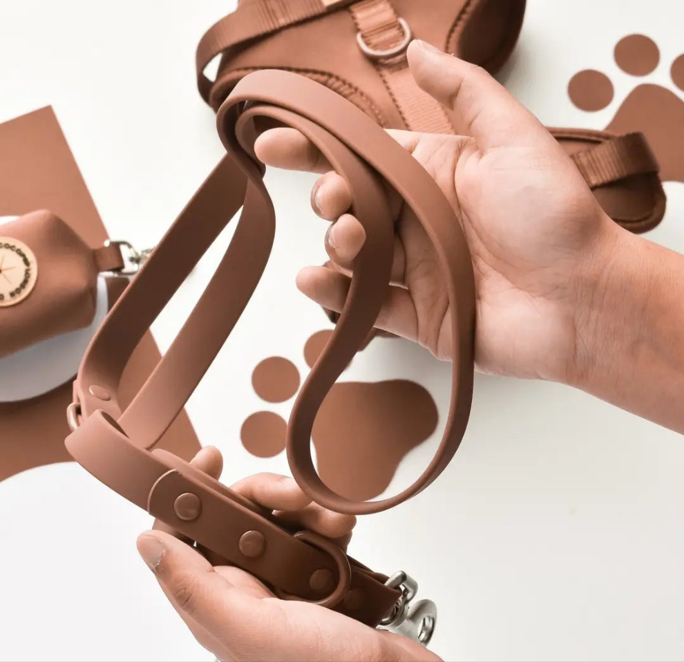 Collare+ Guinzaglio+ Porta sacchetti NAKD- Brownie