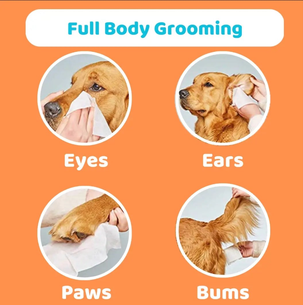 Serviettes parfumées pour chiens