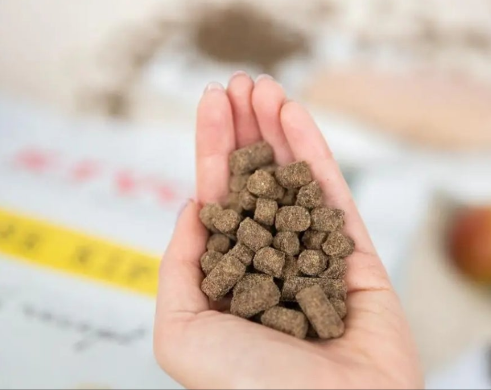 Pollo fresco- Spremuto a freddo- Senza glutine