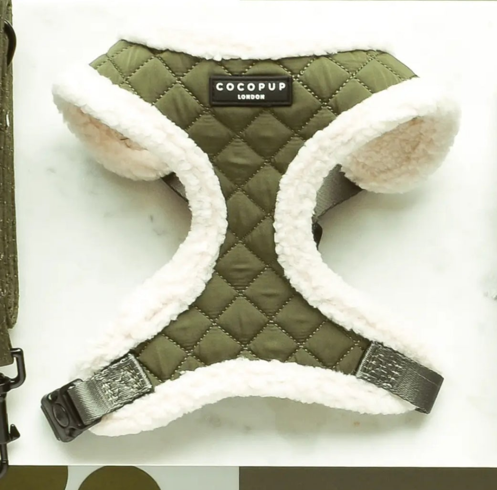 Guinzaglio + Pettorina Trapuntato Cocopup London color kaki