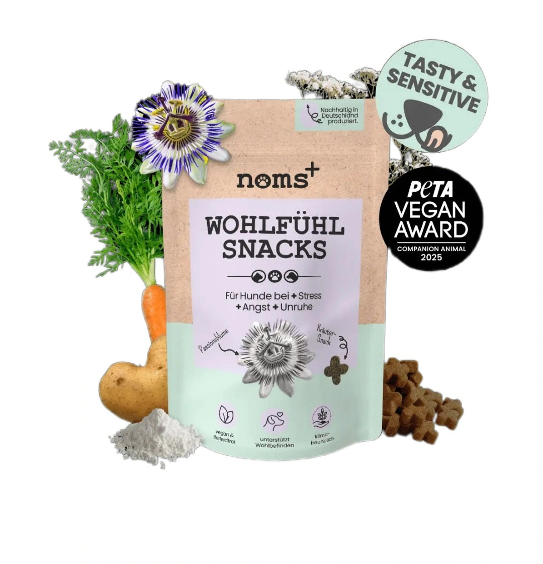 Collations saines, stress, anxiété