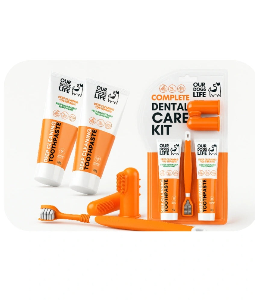 Dentifrice naturel et brosse à dents pour chiens