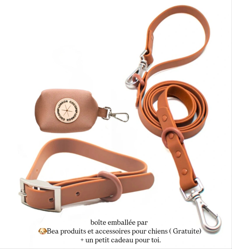 Collare+ Guinzaglio+ Porta sacchetti NAKD- Brownie