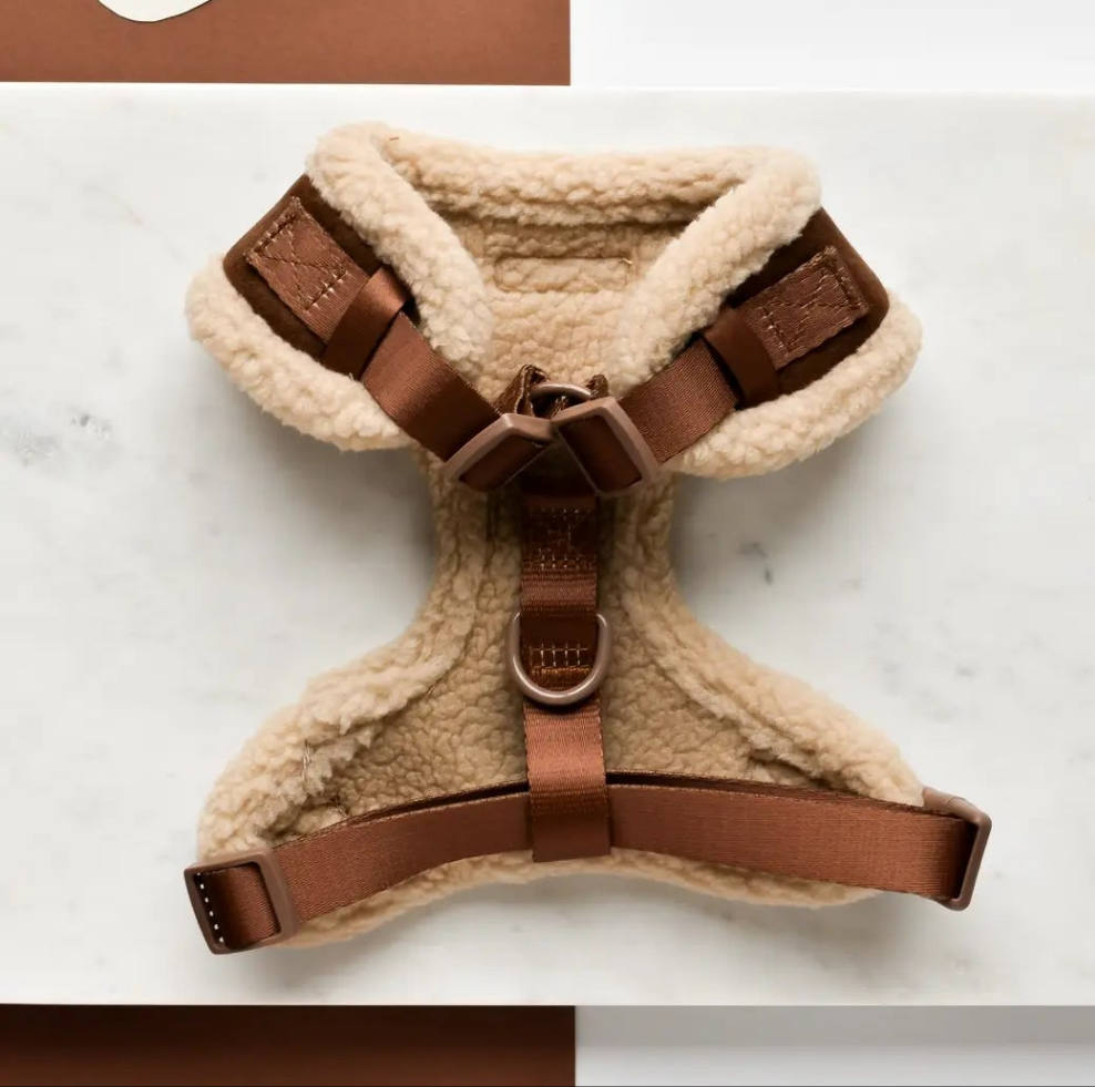 Guinzaglio + Pettorina Cocopup London Marrone