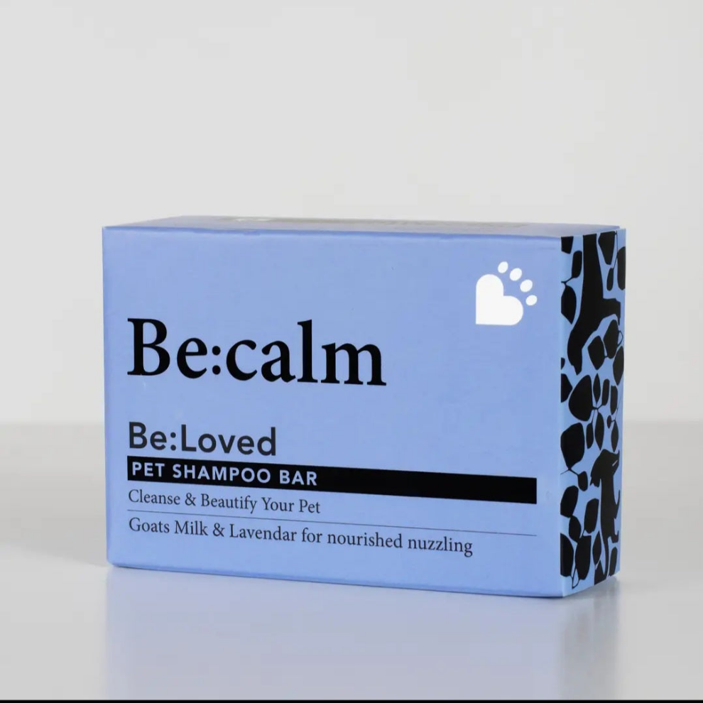 Starter kit pour chiens