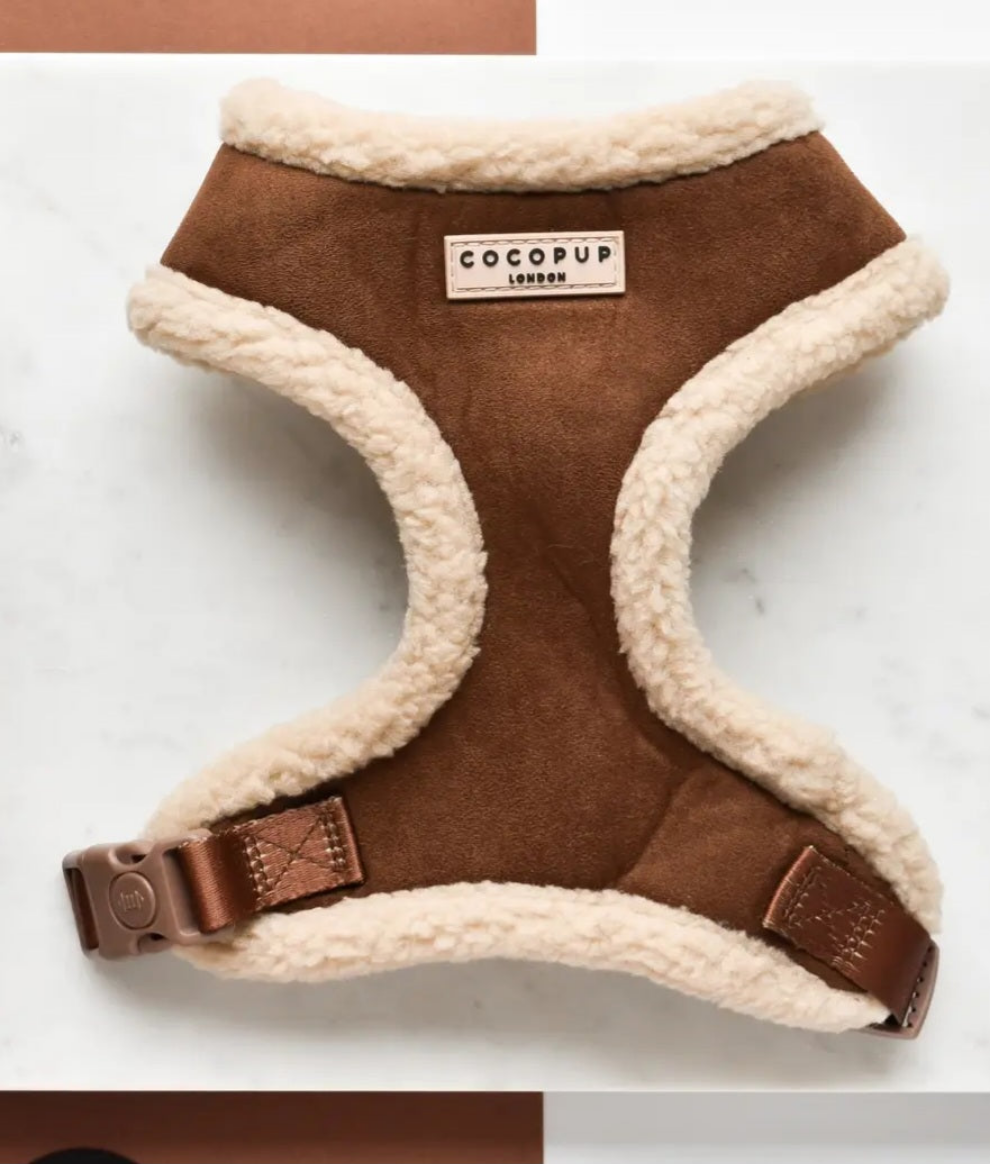 Guinzaglio + Pettorina Cocopup London Marrone