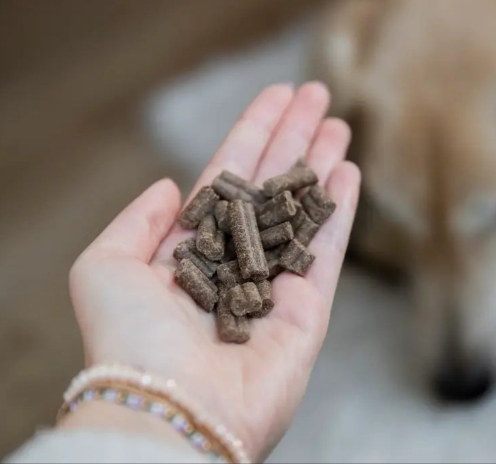 Salmone fresco, pressato a freddo, senza cereali
