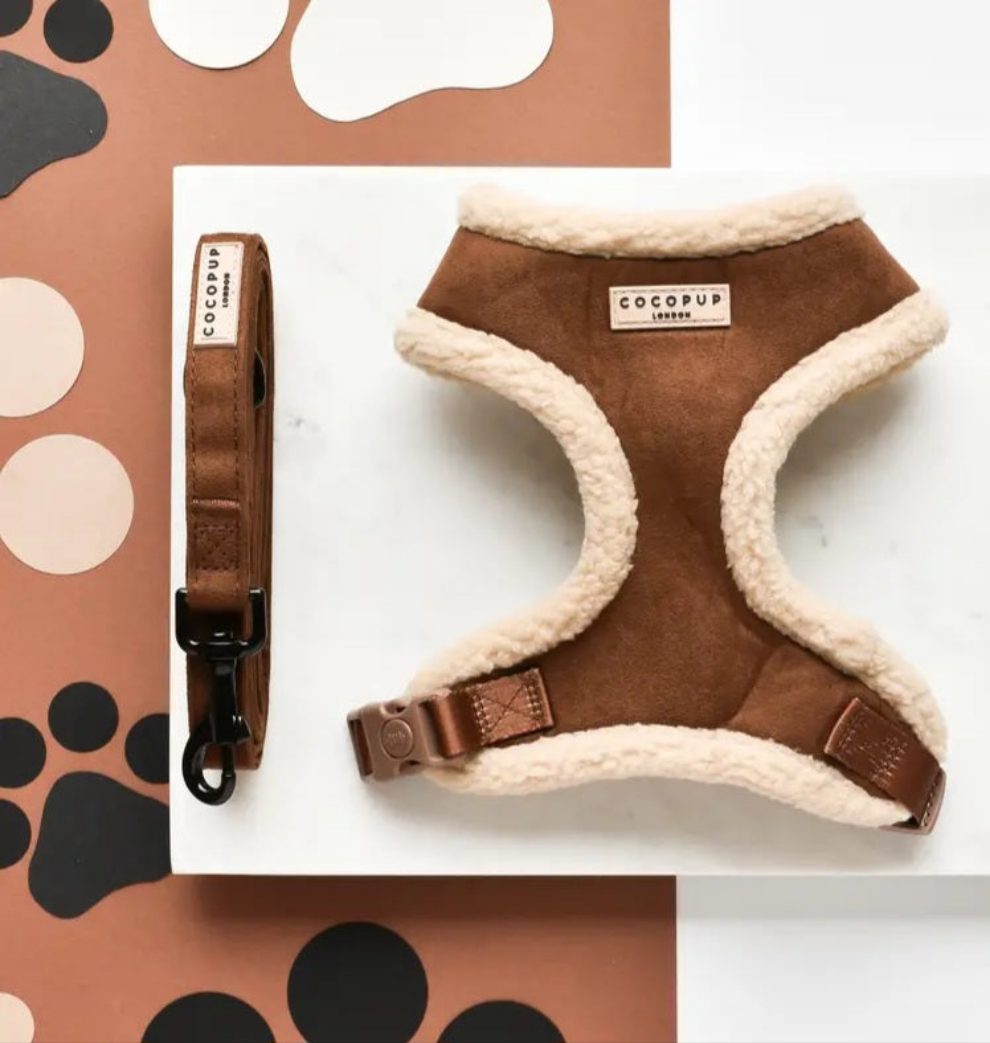 Guinzaglio + Pettorina Cocopup London Marrone