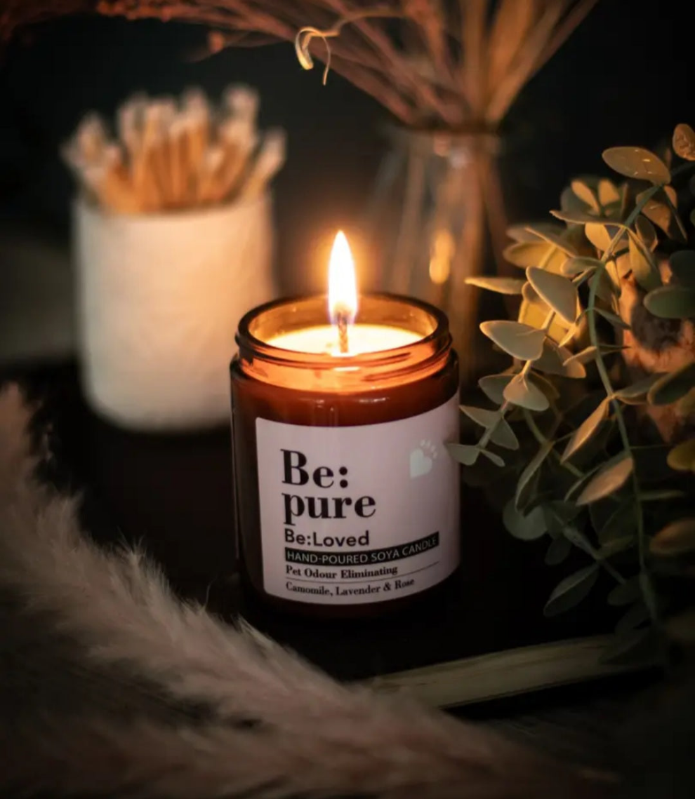 Starter kit pour chiens