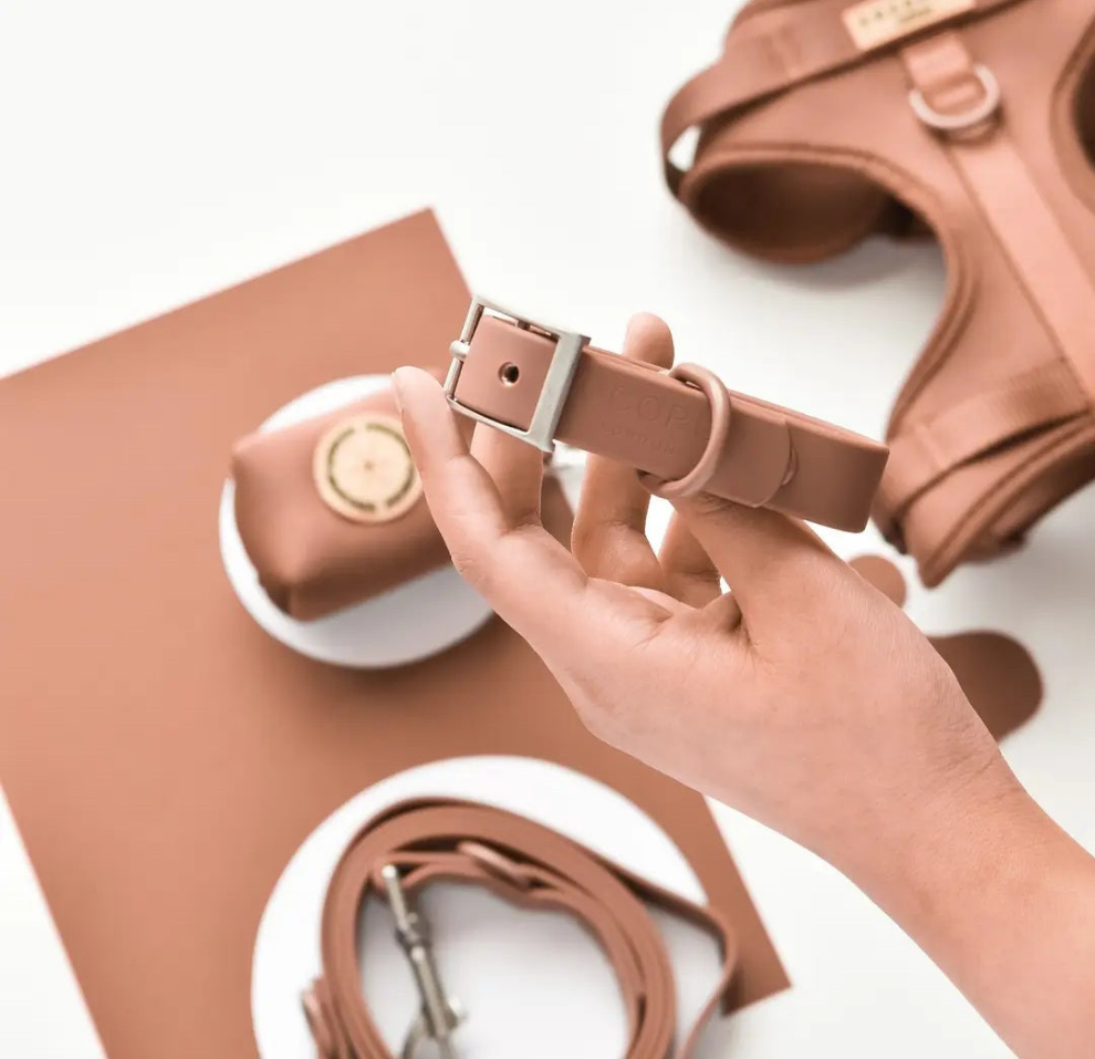 Collare+ Guinzaglio+ Porta sacchetti NAKD- Brownie