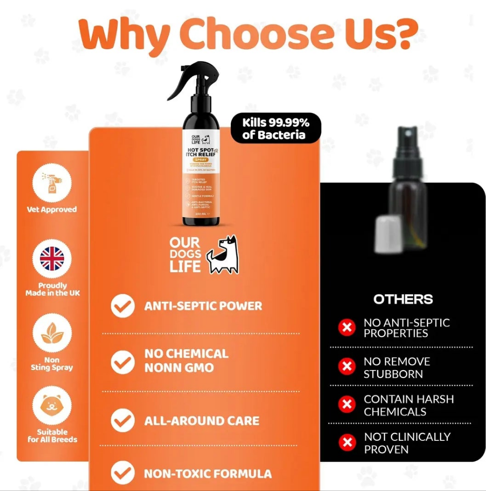 Spray Anti-démangeaisons pour chiens