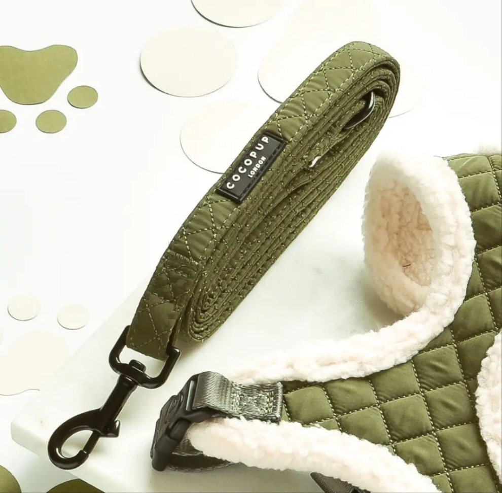 Guinzaglio + Pettorina Trapuntato Cocopup London color kaki