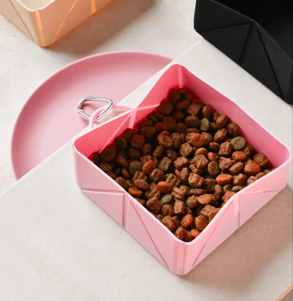 Pliage Travel Bowl - Rose