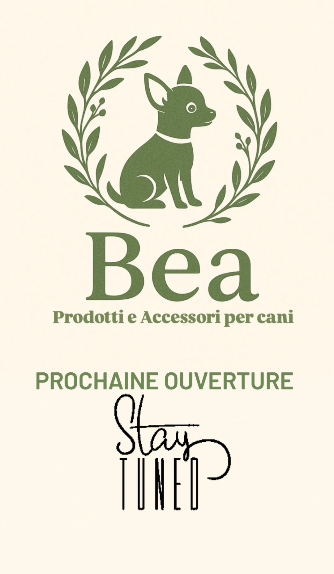 Proc