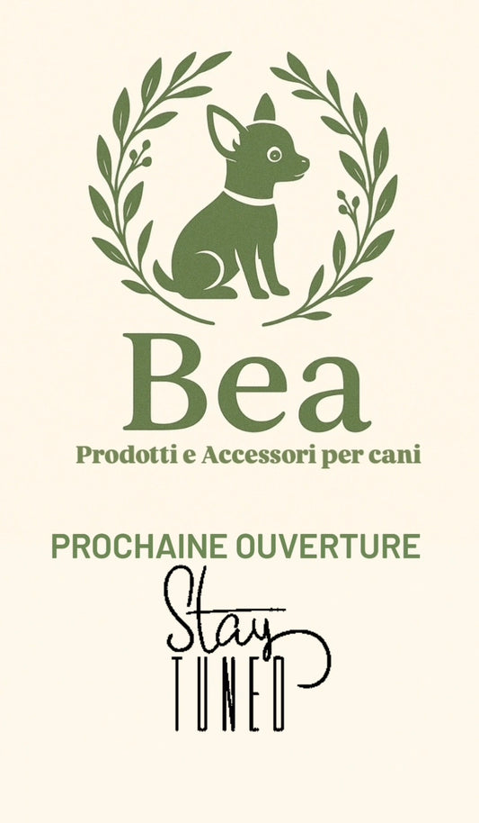 Proc