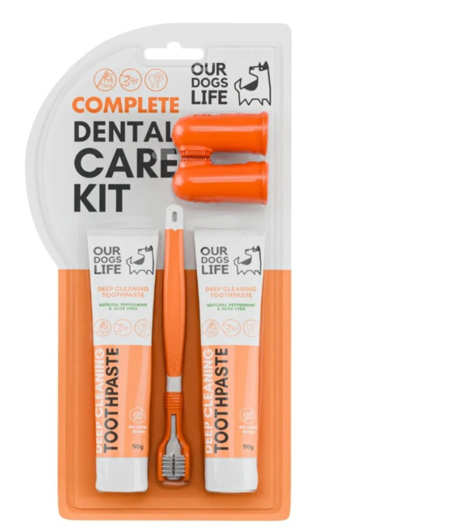 Dentifrice naturel et brosse à dents pour chiens