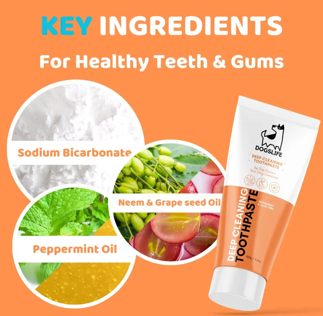 Dentifrice pour chien 100% naturel